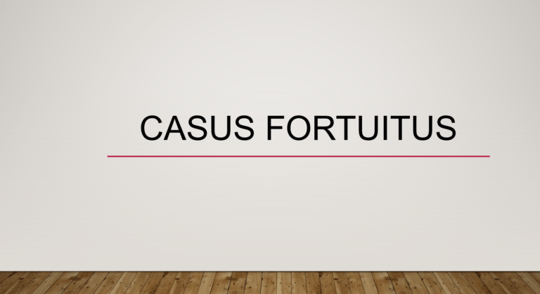 Casus fortuitus
