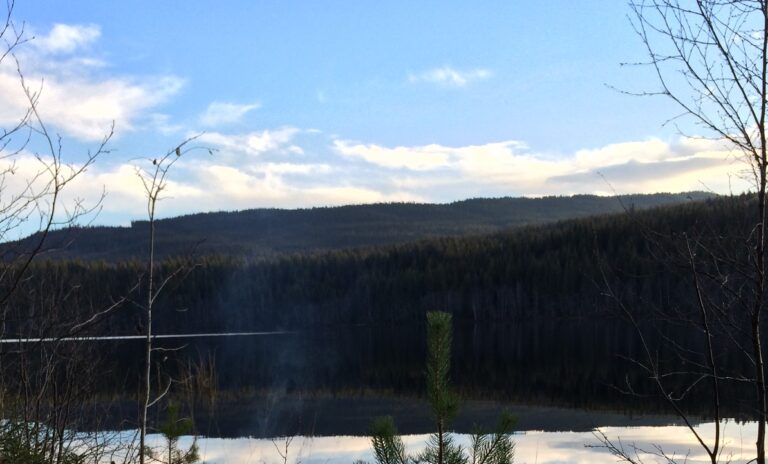 Eiendomsadvokater i Jessheim