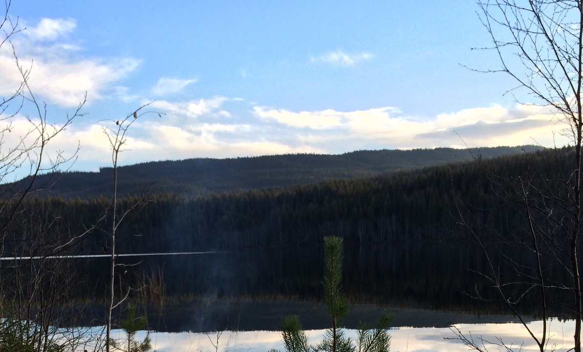 Eiendomsadvokater i Jessheim