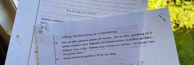 Begrensning i rådighet