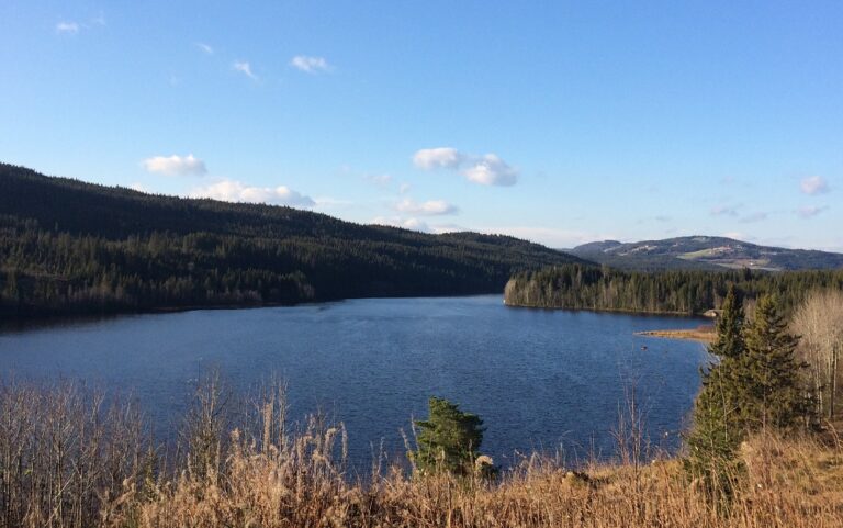 Eiendomsadvokater i Gjøvik