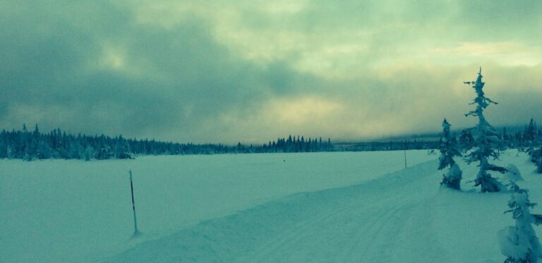 Eiendomsadvokat i Mo i Rana