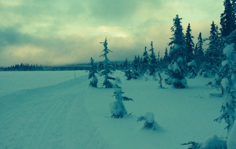 Eiendomsadvokat i Mosjøen