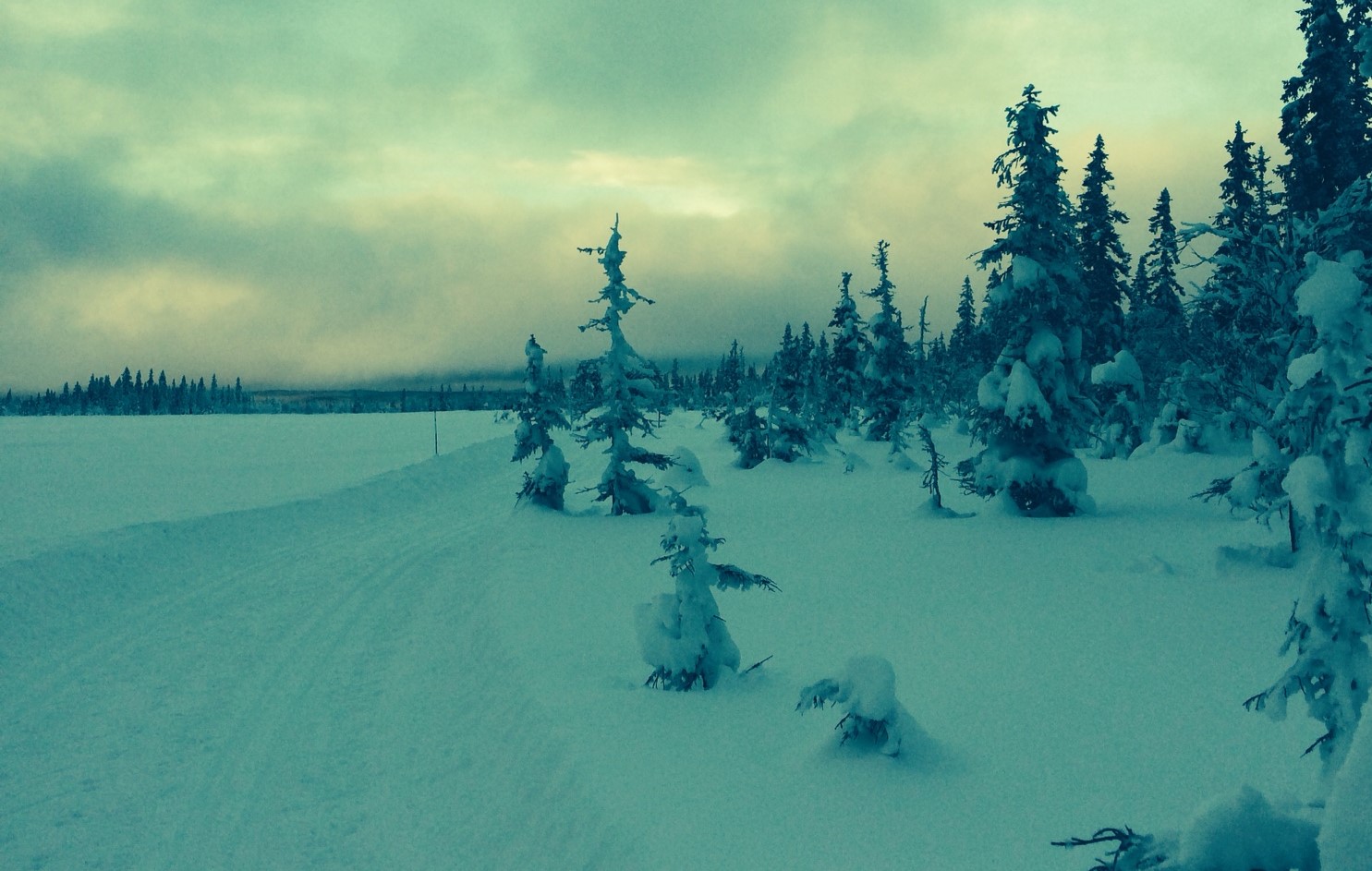 Eiendomsadvokat i Mosjøen