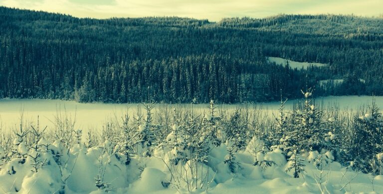 Eiendomsadvokat i Narvik