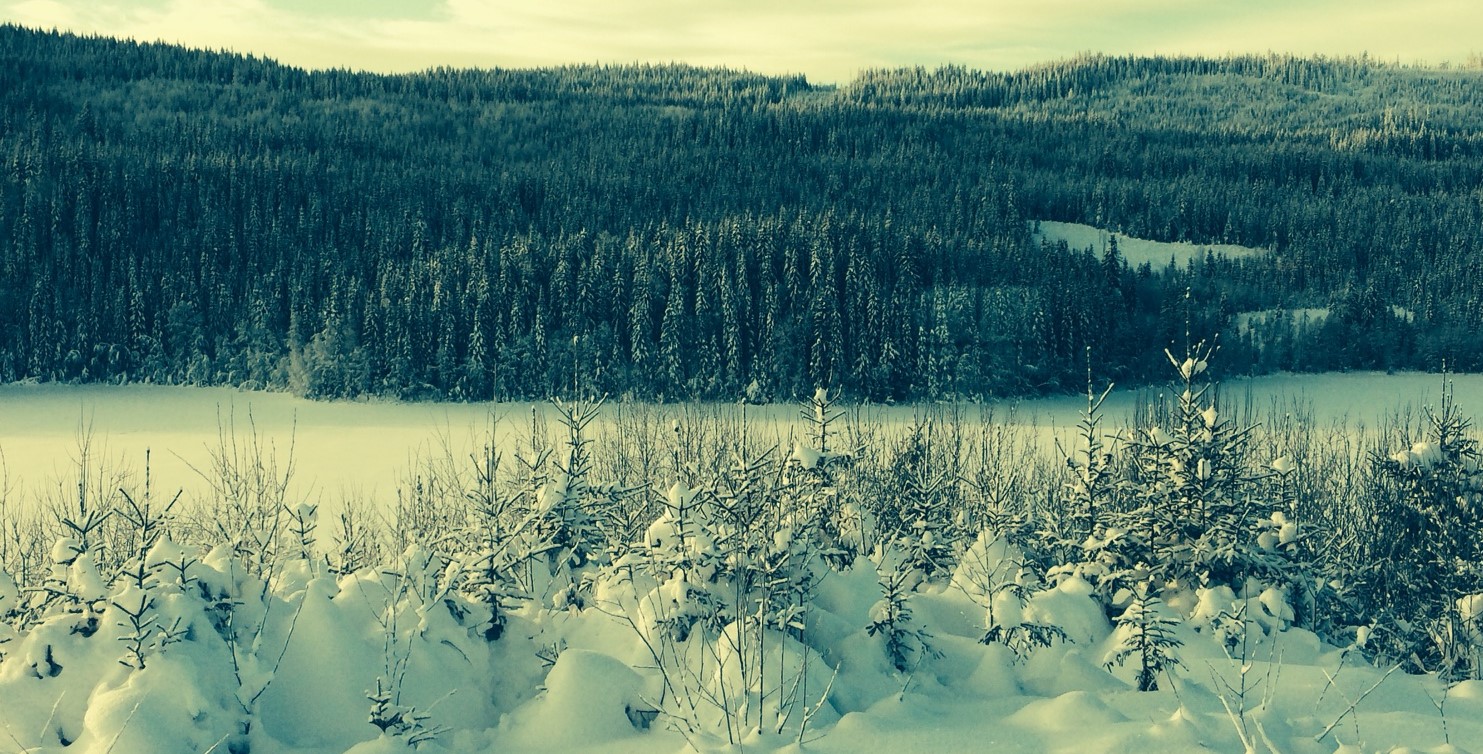 Eiendomsadvokat i Narvik