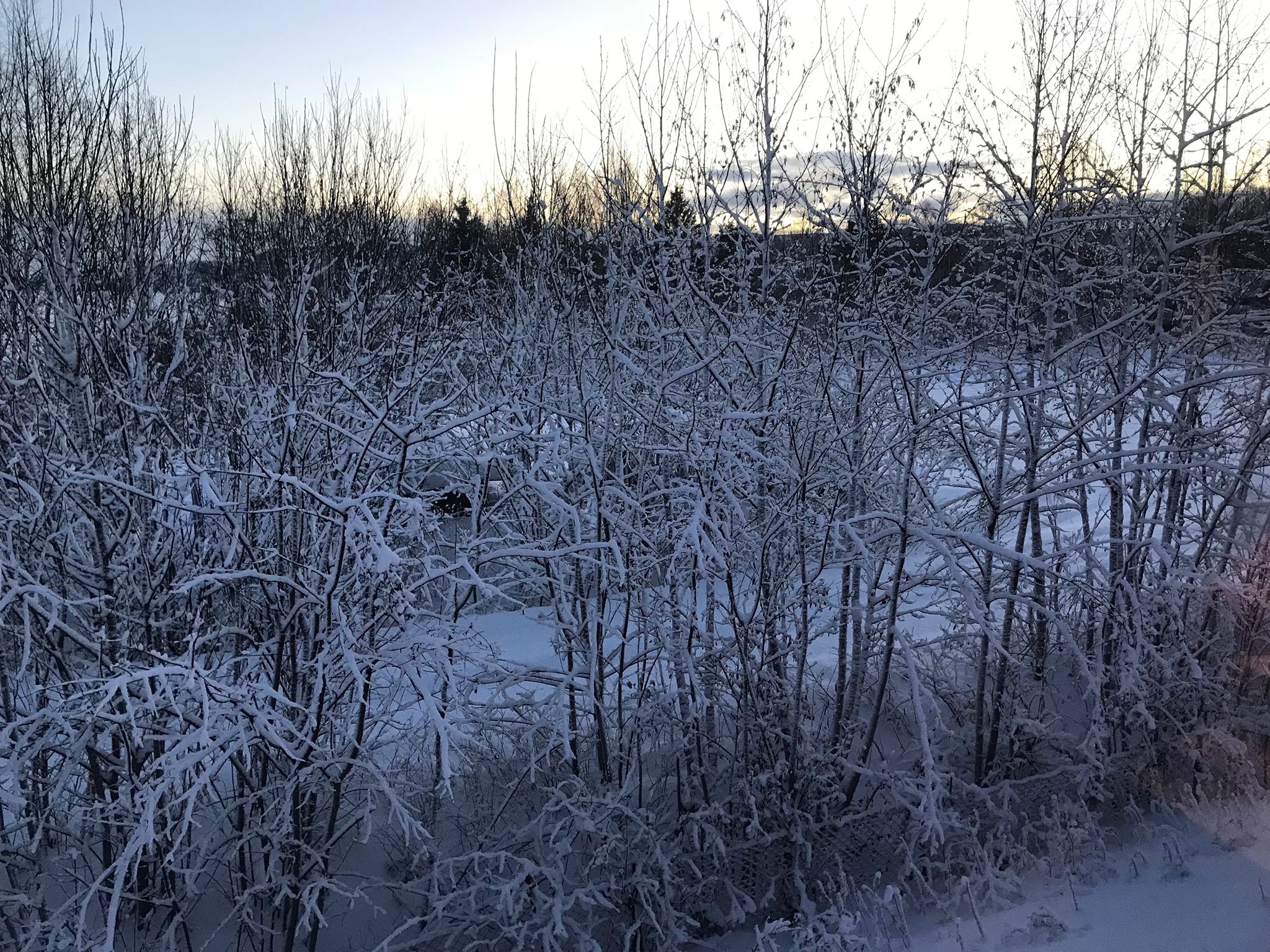 Eiendomsadvokat i Tromsø