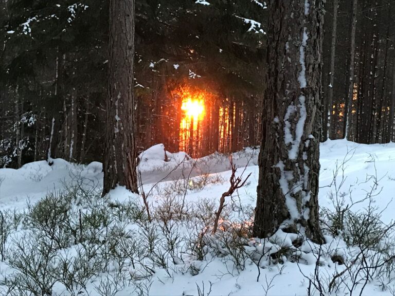 Eiendomsadvokat i Fauske
