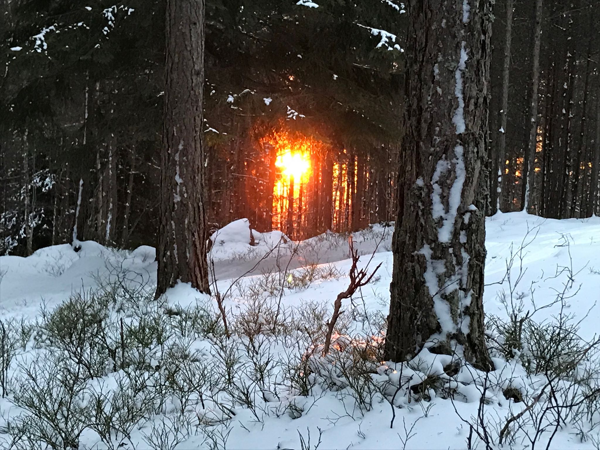 Eiendomsadvokat i Fauske