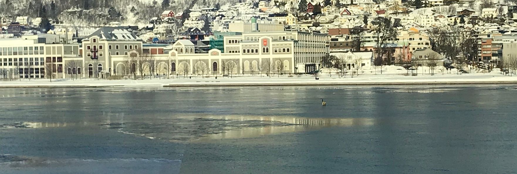 Eiendomsadvokat i Porsgrunn