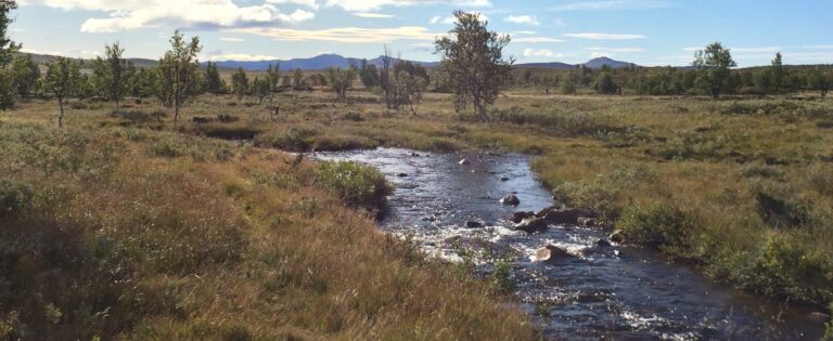 Eiendomsadvokat i Rjukan