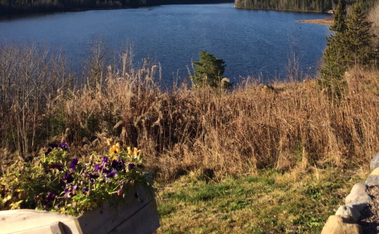 Eiendomsadvokat i Svelvik