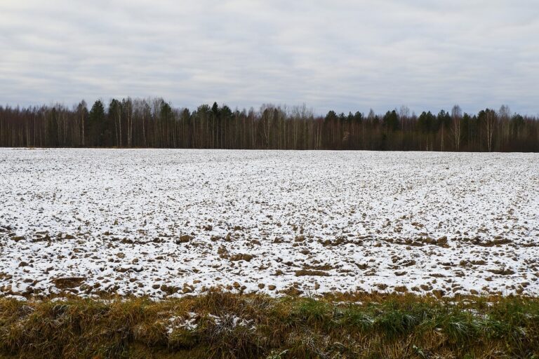 Opplysningsplikt rådighetsbegrensninger