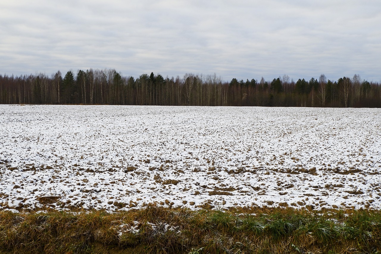 Opplysningsplikt rådighetsbegrensninger