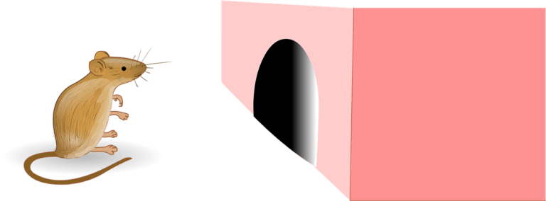 Heving skadedyr avhendingsloven